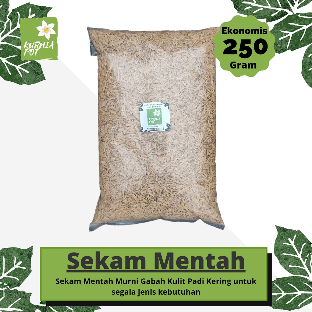 Media Tanam Sekam Mentah Gabah kulit Padi Kering Organik Kemasan 250 Gram