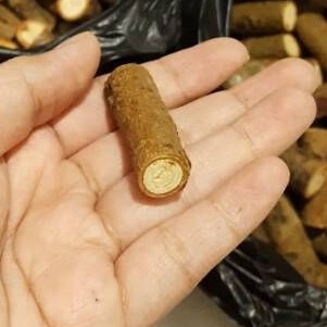 Jual 1 pcs Potongan Ranting Kayu tinggi 3cm, diameter 1 - 1,5 cm ...