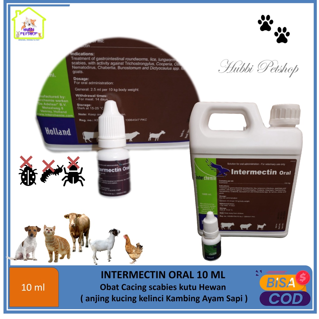 Jual Obat Scabies Kucing / Obat kutu Cacing Kucing Anjing Ayam Kelinci ...
