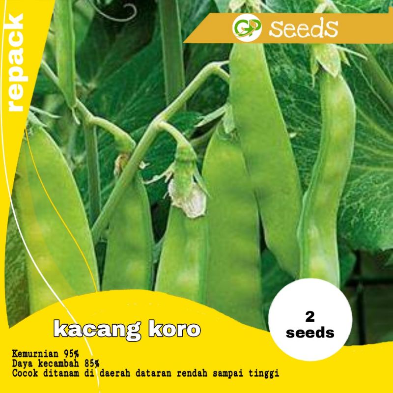 Jual Benih Kacang Koro Hijau Benih Sayur Benih Tanaman Shopee