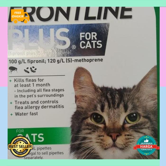Jual OBAT TETES KUTU KUCING - FRONTLINE PLUS CAT Nafsu Makan, Bulu ...