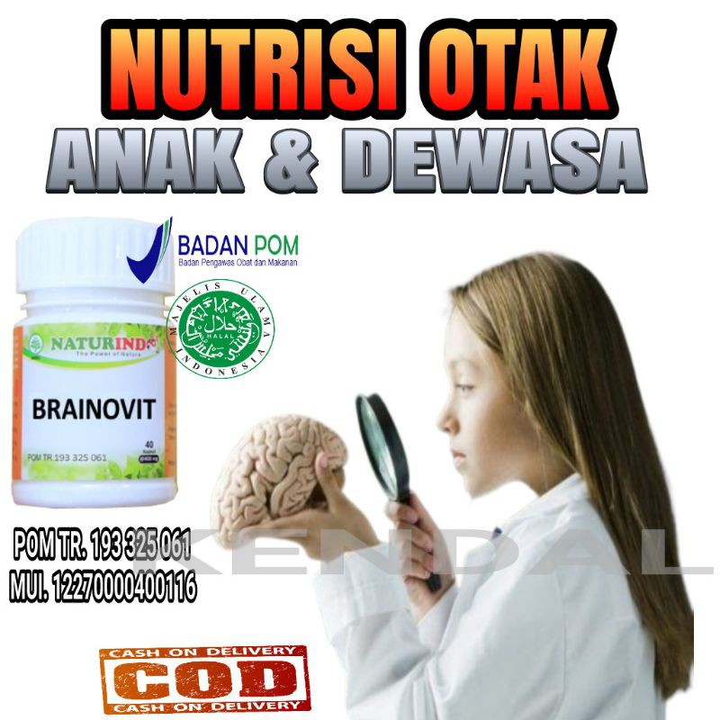 Jual Nutrisi Otak Anak Dan Dewasa Obat Kecerdasan Otak Dan Mencegah ...