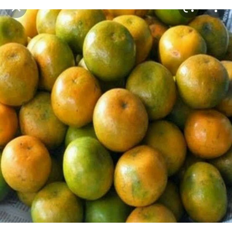 Jual Buah Jeruk Manis 1kg | Shopee Indonesia