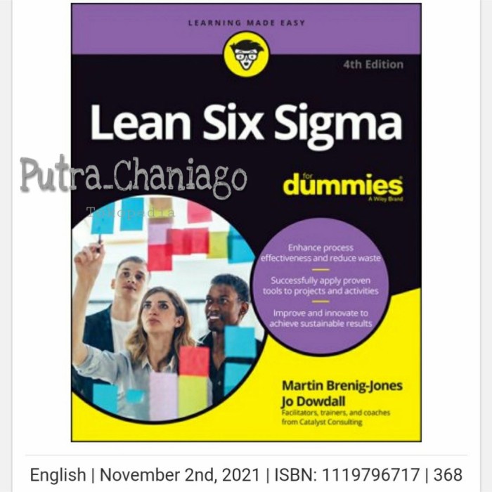 Jual Buku Lean Six Sigma For Dummies 4th Edition | Shopee Indonesia