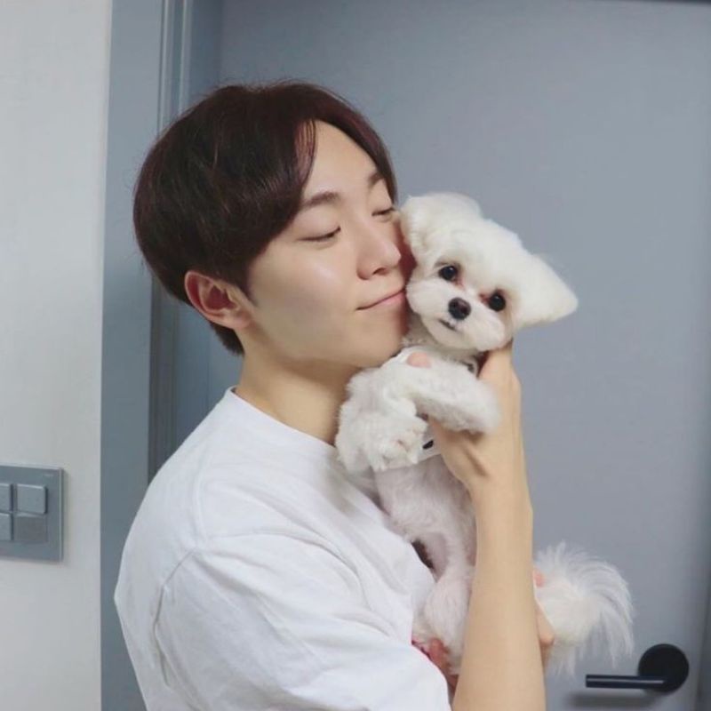 Jual PEEK a BOO | Shopee Indonesia