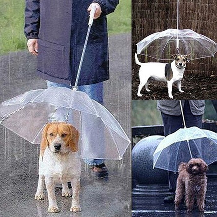 Jual Pet Umbrella dog umbrella payung anjing dengan harness PSI