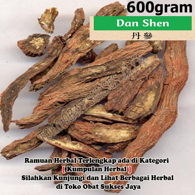 [600gram - Grade A]  Dan Shen - Radix Salviae Miltiorrhizae