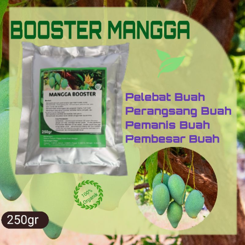 Jual Pupuk Mangga Organik Agar Cepat Berbuah Lebat Ampuh Pupuk Booster ...