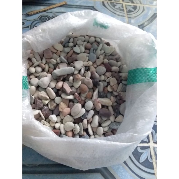 Jual Batu Koral Putih Kecil Hiasan Taman 1 Kg Shopee Indonesia