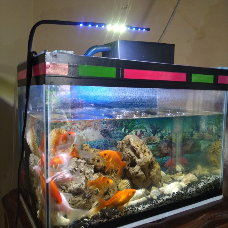 Lampu Aquarium Aquascape Biru Putih