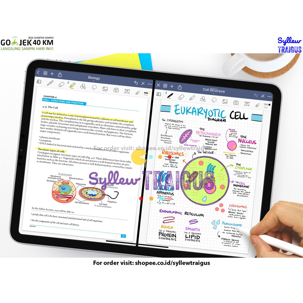 Jual [OFFICIAL] GoodNotes 6 Lifetime di iOS Original (For iPh*ne, iP*d ...