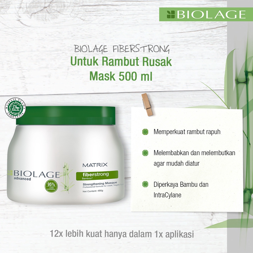 Jual MATRIX BIOLAGE MASK 490ML SMOOTHPROOF REPAIRINSIDE