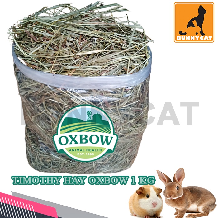 Jual OXBOW TIMOTHY HAY 1Kg Makanan Kelinci TIMOTHY HAY Oxbow