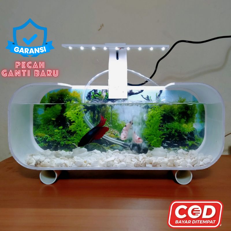 Jual Bisa Cod Aquarium Mini Pvc Plus Pompa Aerator Oksigen Dan Lampu Led Aquarium Ikan Hias