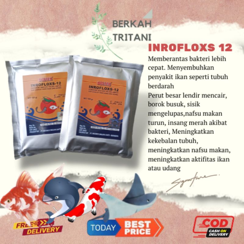 Jual Obat Ikan Boster Inrofloxs 12 100 Gram Obat Vitamin Antibiotik