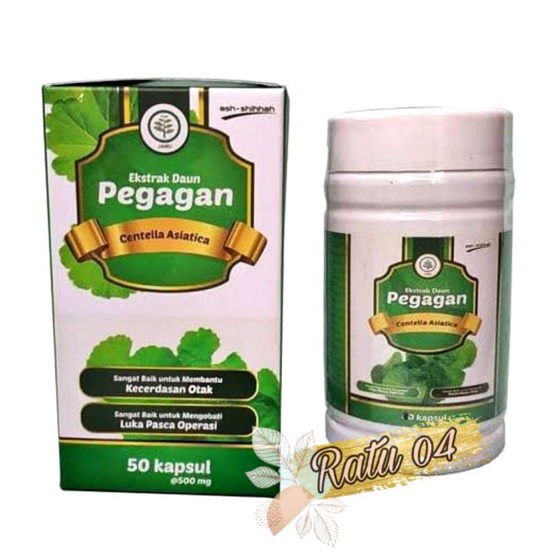 Jual Ekstrak Daun Pegagan Ash Shihhah 50 Kapsul | Shopee Indonesia