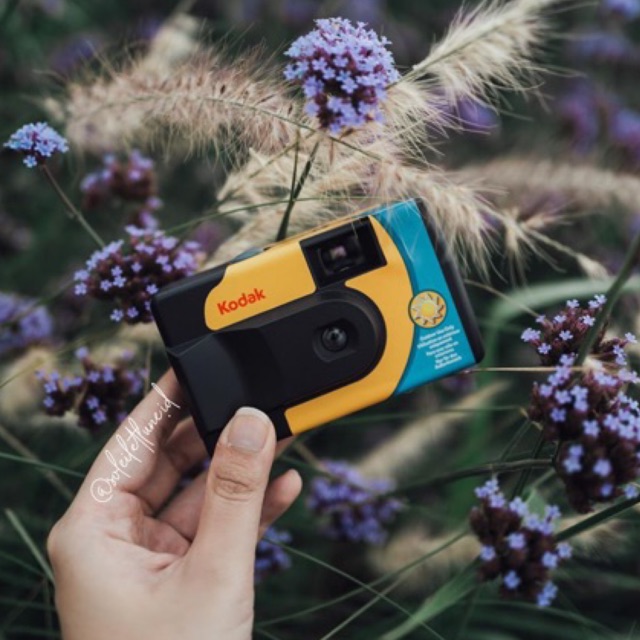 Jual Kodak Daylight Disposable Camera (ISO 800, 39 exp, No Flash) Shopee Indonesia