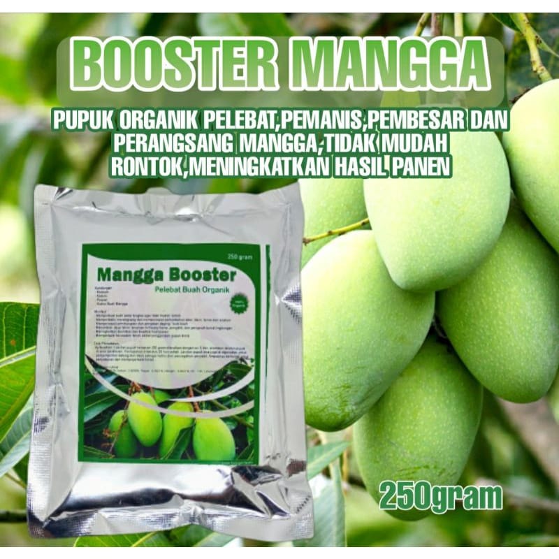 Jual Pupuk Organik Booster Mangga Gram Perangsang Buah Mangga Shopee Indonesia