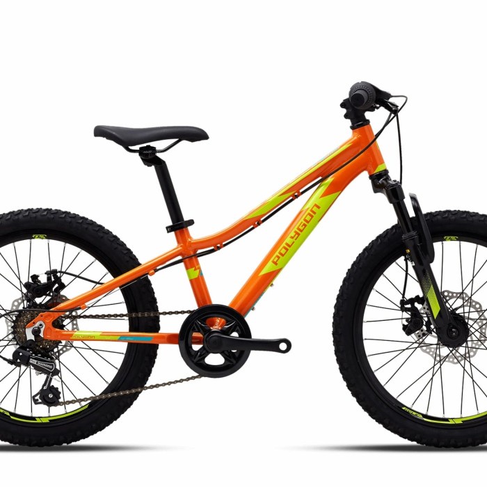 Jual SEPEDA GUNUNG MTB 20 POLYGON RELIC | Shopee Indonesia