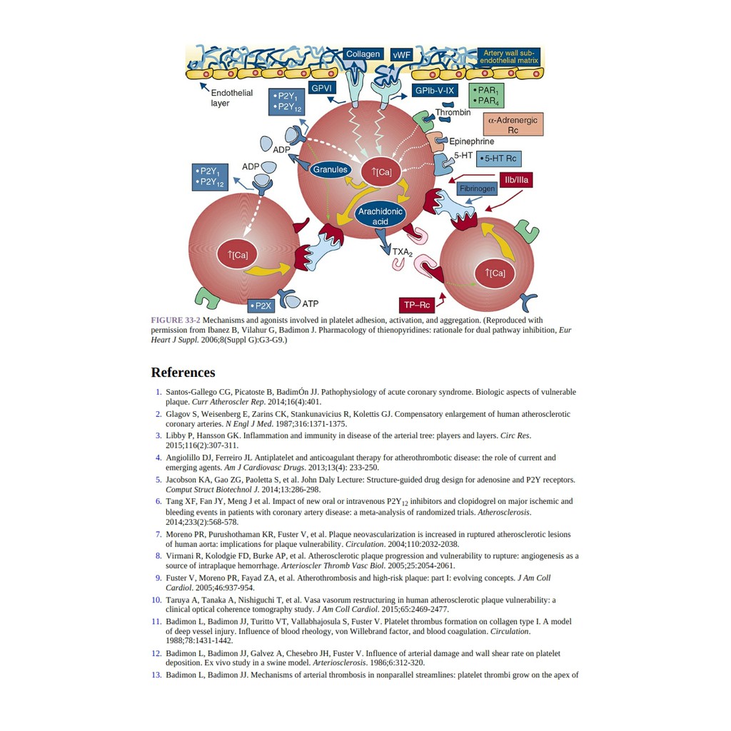Jual Buku Kedokteran Kardiologi - Cardiology Board Review
