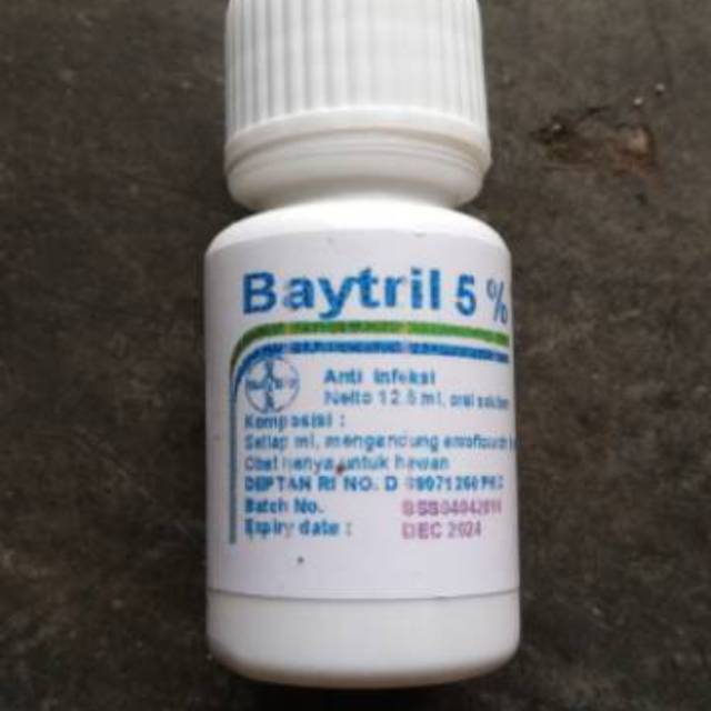 Jual Obat Hewan Baytril Ml Snot Antibiotik Mencret Jamur