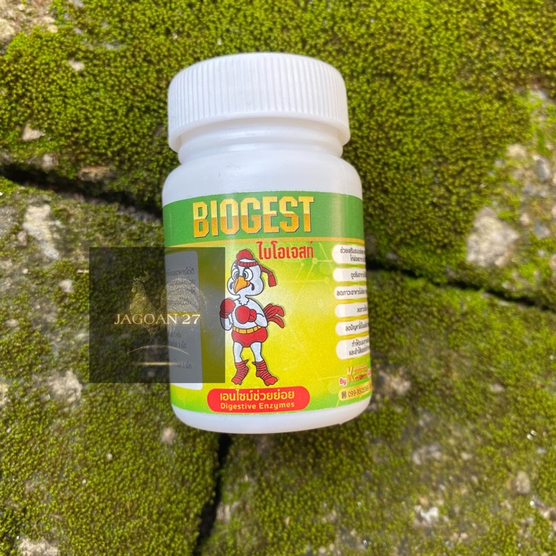 Jual K BOOSTER BIOGEST 100% ORIGINAL THAILAND UNTUK AYAM ADUAN | Shopee ...