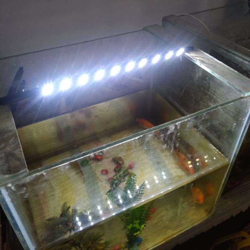 Jual Lampu Aquarium Led Warna Putih Dua Baris 20 Titik ... | Shopee ...