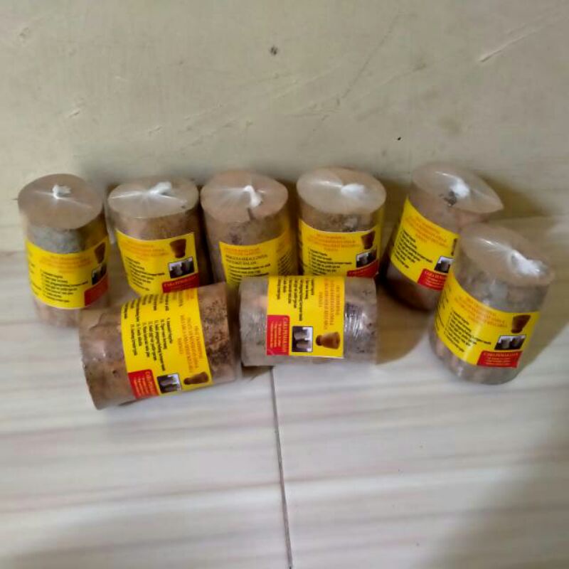 Jual Kayu Ular Papua Shopee Indonesia 5435