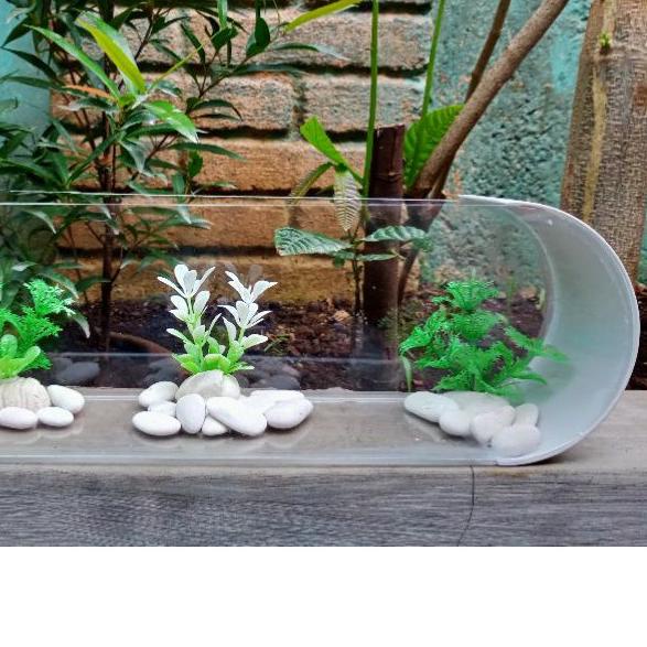 Jual Aquarium Mini Unik Akrilik Pvc Oval Cupang Gapi Neon Ikan Hias