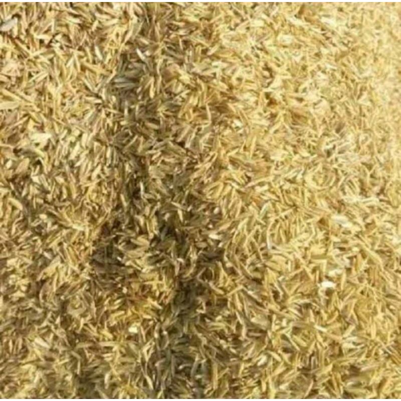 Jual KEBUN-MUKLIS - Sekam Padi Kering / Brambut / Murah 500Gram ...