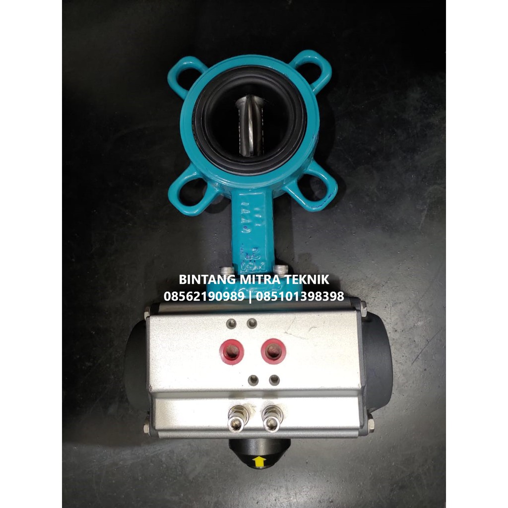 Jual BUTTERFLY VALVE GEMU + ACTUATOR PNEUMATIC 2" | Shopee Indonesia