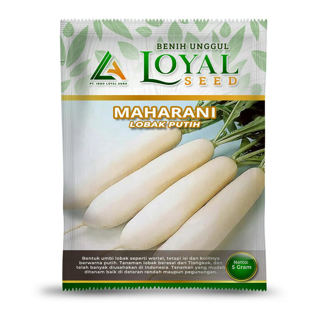 Jual Benih Lobak Putih Maharani Cap Loyal Seed Kemasan 5 Gr Shopee