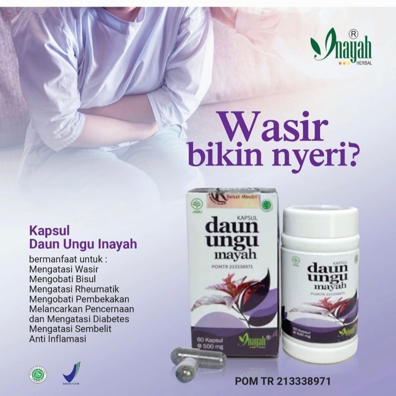 Jual Kapsul Daun Ungu Obat Wasir Ambeien BPOM | Shopee Indonesia