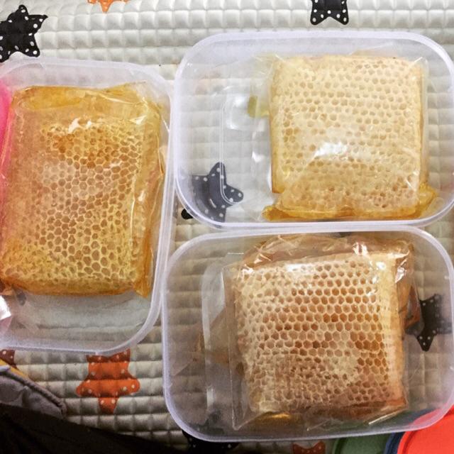 Jual Sarang Madu Honeycomb 100gr 250gr 500gr 600gr Cerana Melifera