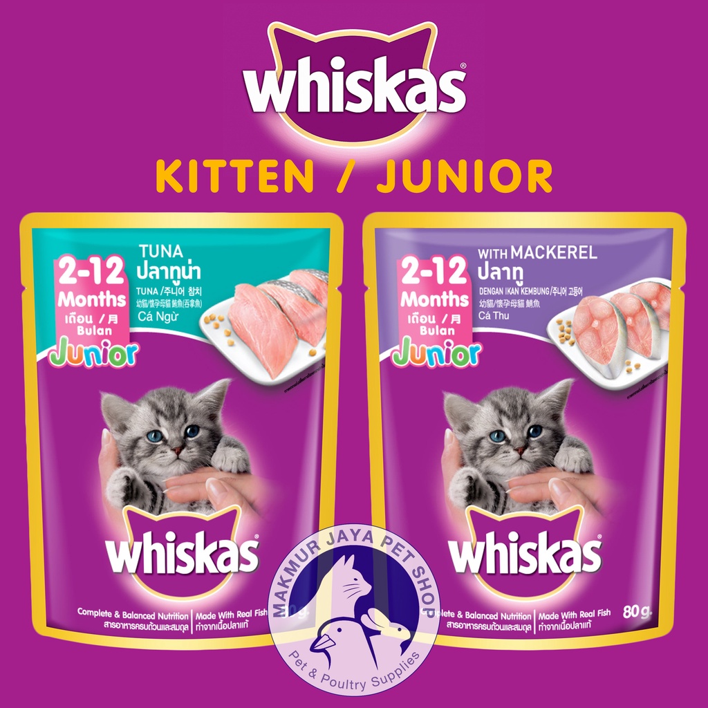 Jual Whiskas Pouch JUNIOR KITTEN / Wet Cat Food / Makanan Kucing Basah