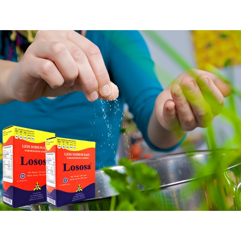 Jual Lososa Garam Sehat Rendah Natrium Sodium Garam Diet 500 Gram Less ...