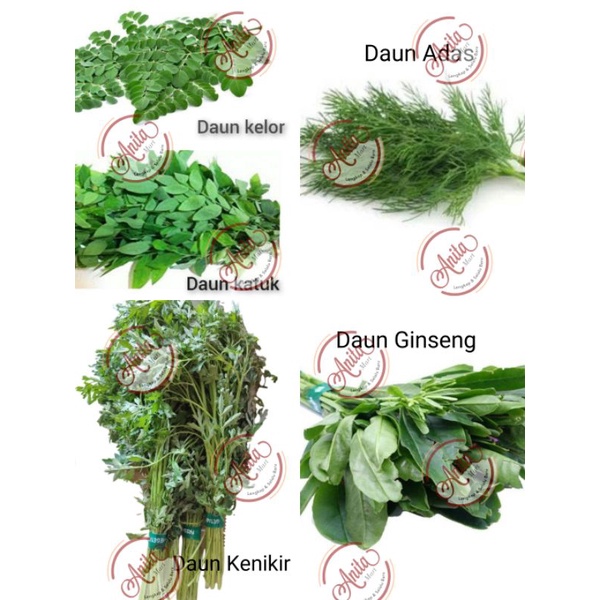 Jual Sayur Daun Katuk Ginseng Kenikir Adas Fennel Belimbing Kelor