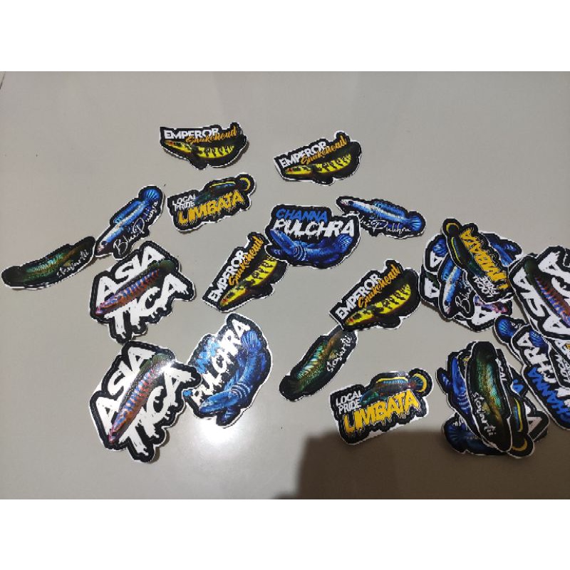 Jual stiker chana | Shopee Indonesia