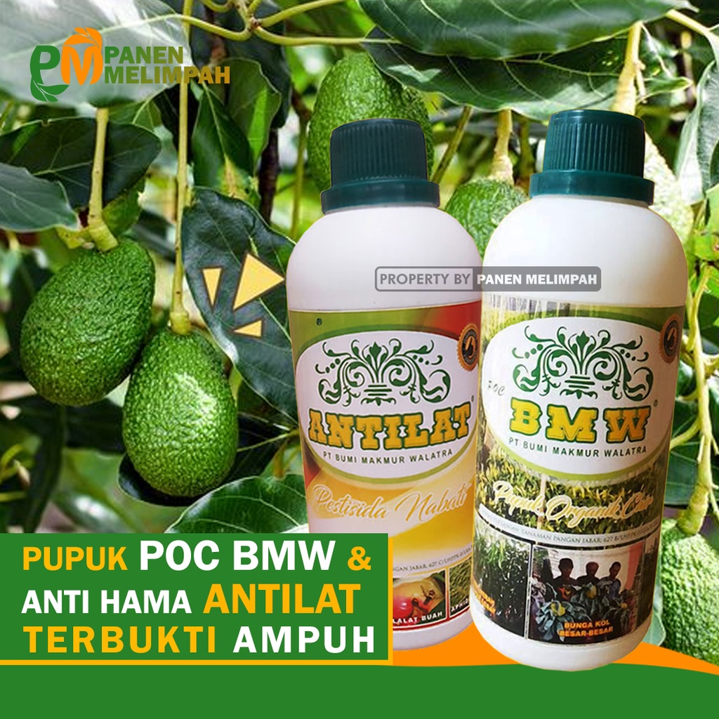 Jual Pupuk Organik Cair POC Pestisida Organik Cair Penyubur Tanaman ...