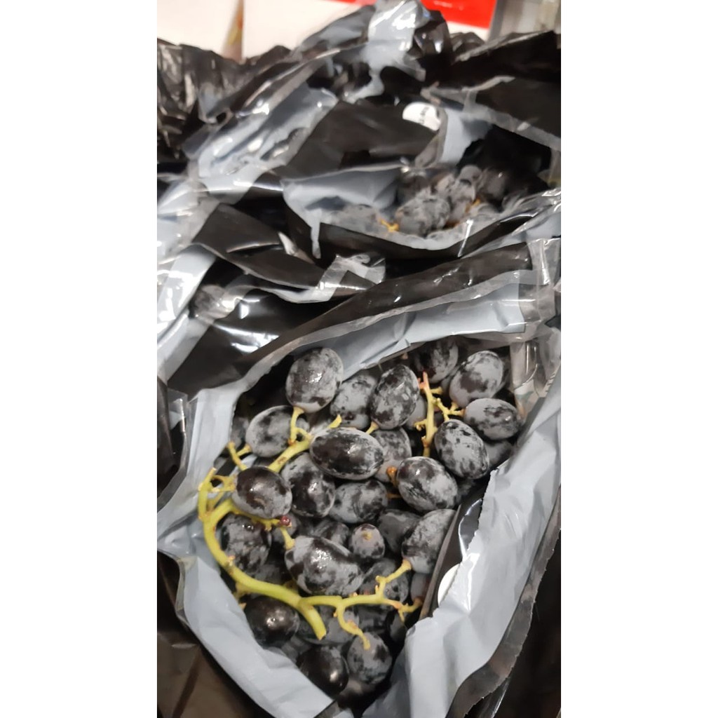 Jual Anggur hitam black autum seedles 500grm | Shopee Indonesia