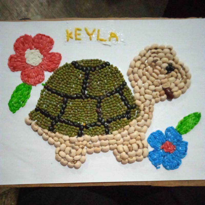 Jual Kolase Bij-Bijian Hewan Kura-Kura | Shopee Indonesia