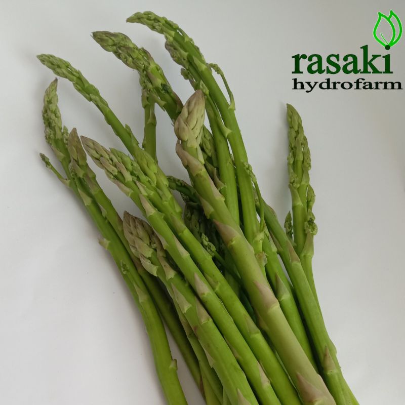 Jual sayur segar asparagus organik rasaki 100gr | Shopee Indonesia