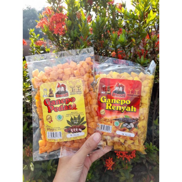 Jual Keripik Ganepo Atau Dakak Dakak Kokoci Makanan Cemilan Khas Padang