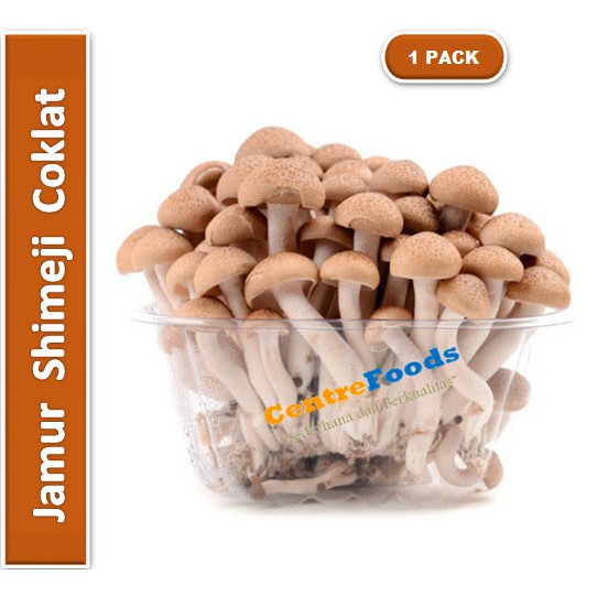 Jual Jamur Shimeji Coklat Import [Berat 150gr/Pack] Harga Per PACK