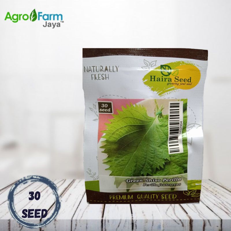 Jual Bibit Herbs Shiso Perilla Green ( Haira Seed) | Shopee Indonesia