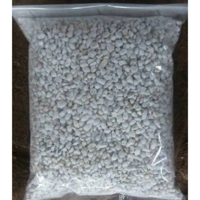 Jual Media Tanam Perlite 100 gram | Shopee Indonesia