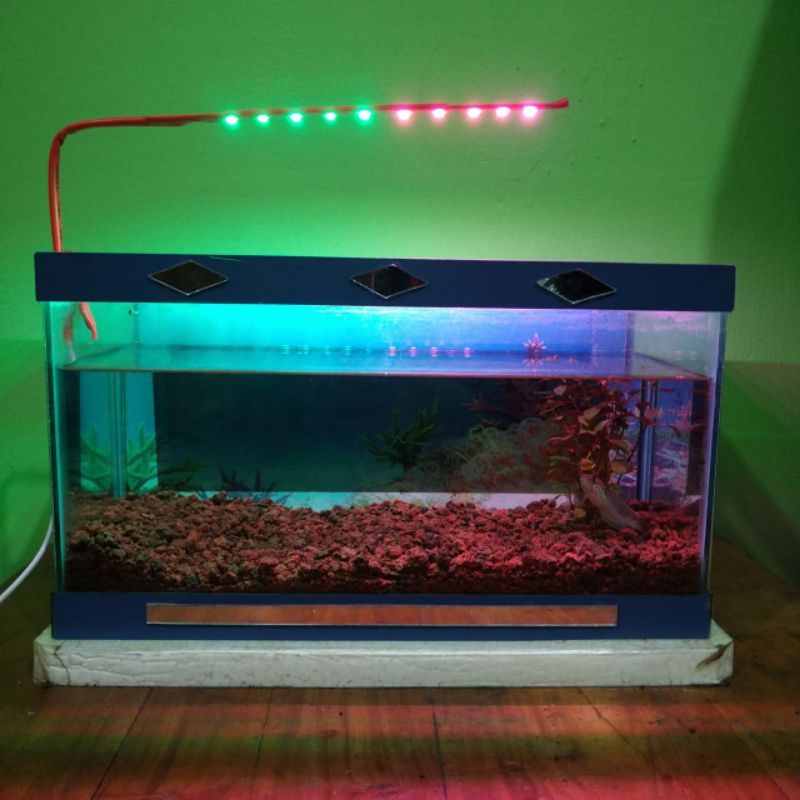 Jual lampu aquarium led dua warna hijau pink10 titik | Shopee Indonesia