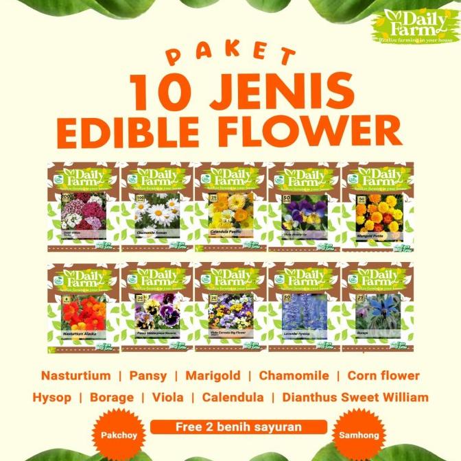 Jual Paket Benih Bunga 10 Jenis Edible Flower - Daily Farm | Shopee ...