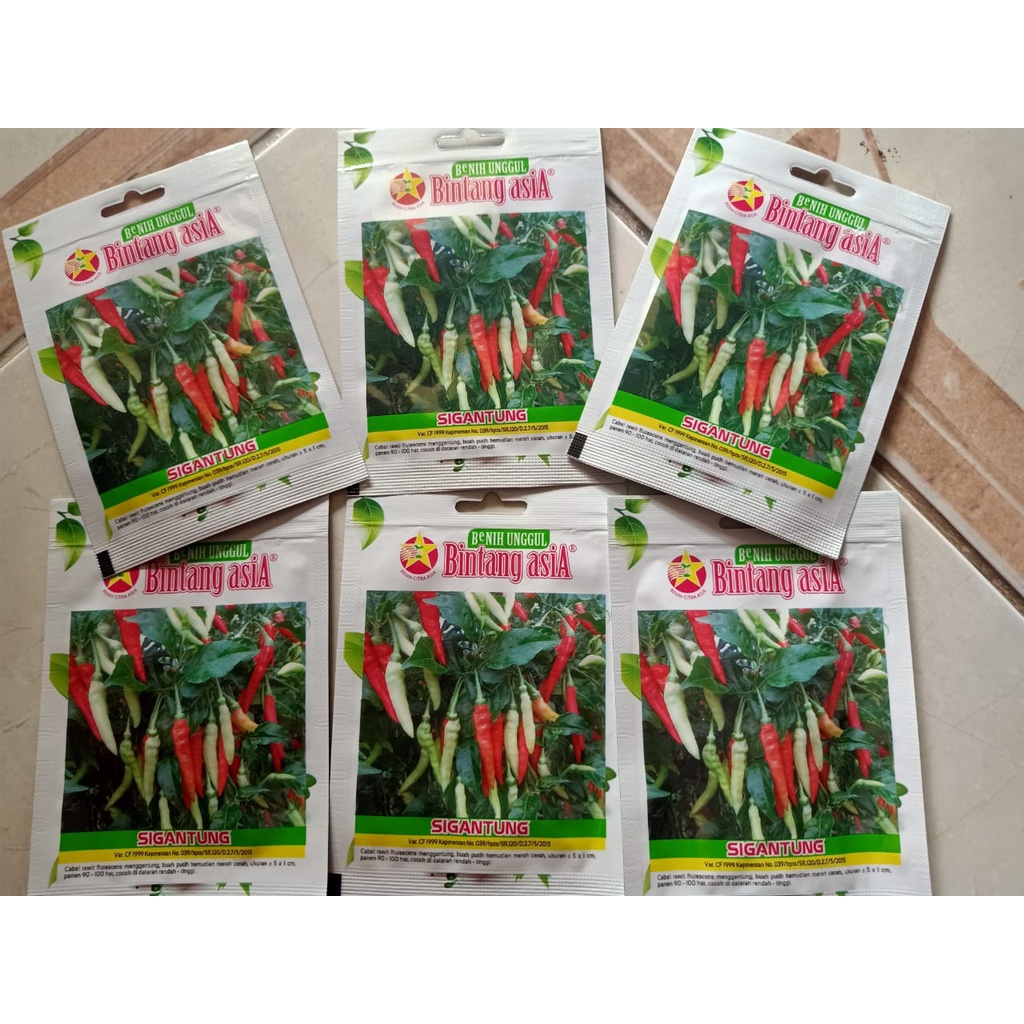 Jual Benih Bibit Cabe Rawit Setan Shopee Indonesia