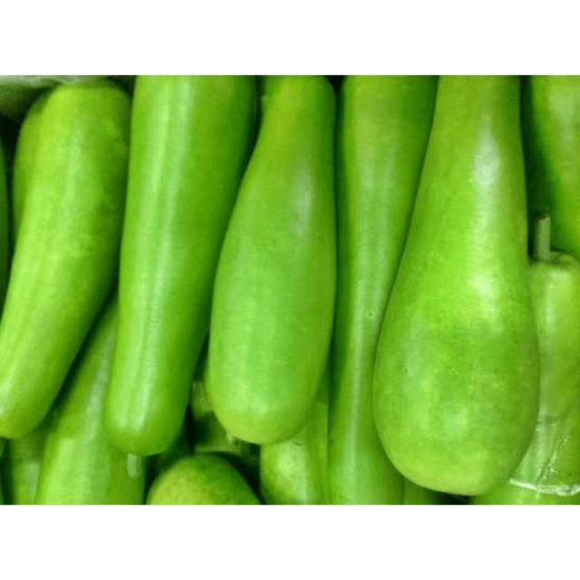 Jual Labu Air Muda Ukuran Sedang/ Labu Botol/ per buah | Shopee Indonesia